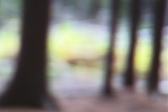 shuf
