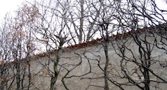 pragwall
